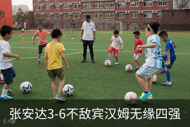 张安达3-6不敌宾汉姆无缘四强